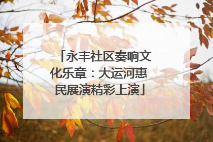 永丰社区奏响文化乐章：大运河惠民展演精彩上演