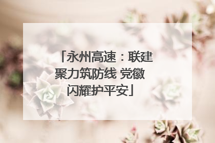 永州高速：联建聚力筑防线 党徽闪耀护平安