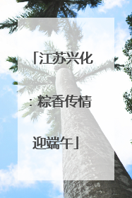 江苏兴化：粽香传情迎端午
