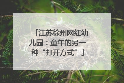 江苏徐州网红幼儿园：童年的另一种“打开方式”