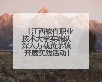 江西软件职业技术大学实践队深入万载黄茅镇开展实践活动