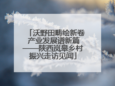 沃野田畴绘新卷 产业发展谱新篇——陕西岚皋乡村振兴走访见闻
