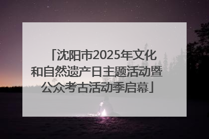 沈阳市2025年文化和自然遗产日主题活动暨公众考古活动季启幕