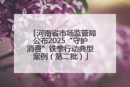 河南省市场监管局公布2025“守护消费”铁拳行动典型案例（第二批）