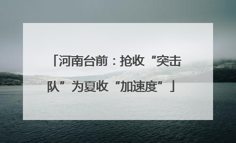 河南台前：抢收“突击队”为夏收“加速度”