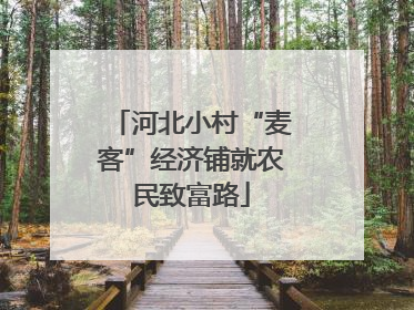河北小村“麦客”经济铺就农民致富路