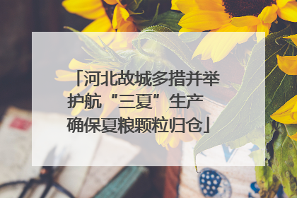 河北故城多措并举护航“三夏”生产 确保夏粮颗粒归仓