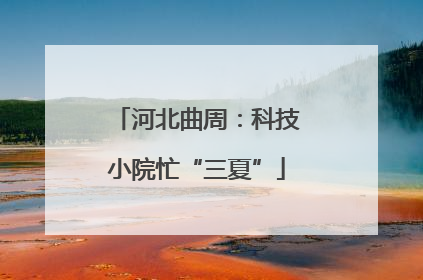 河北曲周：科技小院忙“三夏”