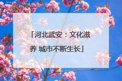 河北武安：文化滋养 城市不断生长