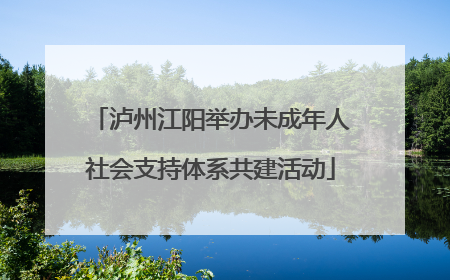 泸州江阳举办未成年人社会支持体系共建活动
