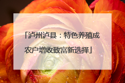 泸州泸县：特色养殖成农户增收致富新选择