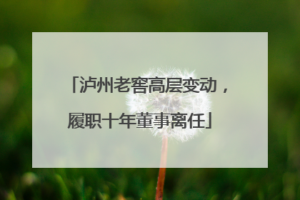 泸州老窖高层变动，履职十年董事离任