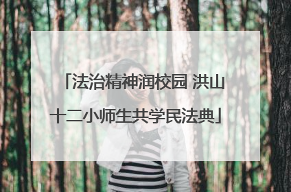 法治精神润校园 洪山十二小师生共学民法典