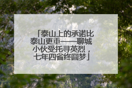 泰山上的承诺比泰山更重——聊城小伙受托寻英烈，七年四省终圆梦