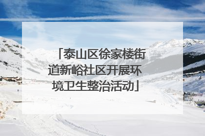 泰山区徐家楼街道新峪社区开展环境卫生整治活动