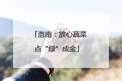 洛南：放心蔬菜点“绿”成金