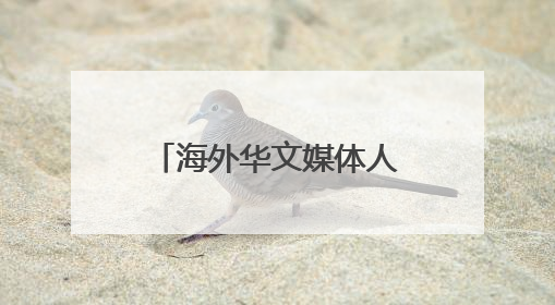海外华文媒体人黄河寻麦香 共话运城乡村振兴