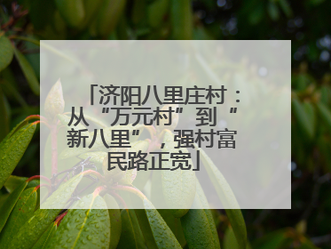 济阳八里庄村：从“万元村”到“新八里”，强村富民路正宽