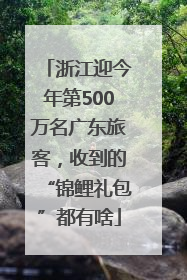 浙江迎今年第500万名广东旅客，收到的“锦鲤礼包”都有啥