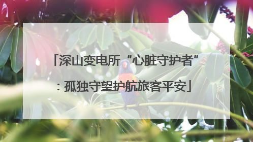 深山变电所“心脏守护者”：孤独守望护航旅客平安