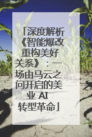 深度解析《智能爆改 重构美好关系》：一场由马云之问开启的美业 AI 转型革命