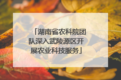 湖南省农科院团队深入武陵源区开展农业科技服务