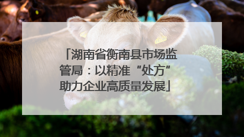 湖南省衡南县市场监管局：以精准“处方”助力企业高质量发展