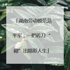 湖南劳动模范范平军：一把砖刀“砌”出精彩人生