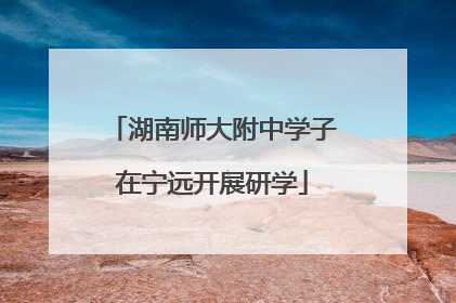 湖南师大附中学子在宁远开展研学