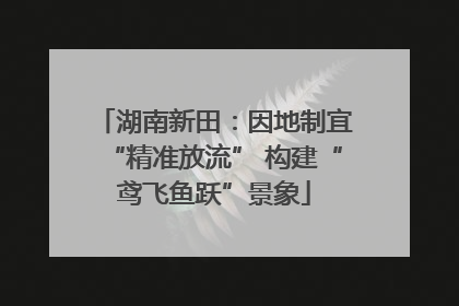 湖南新田：因地制宜“精准放流” 构建“鸢飞鱼跃”景象