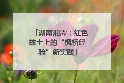 湖南湘潭：红色故土上的“枫桥经验”新实践