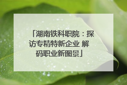 湖南铁科职院：探访专精特新企业 解码职业新图景