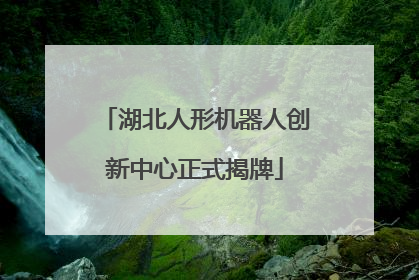 湖北人形机器人创新中心正式揭牌