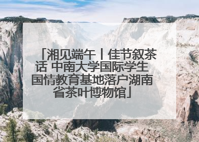 湘见端午丨佳节叙茶话 中南大学国际学生国情教育基地落户湖南省茶叶博物馆