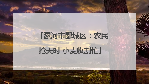 漯河市郾城区：农民抢天时 小麦收割忙