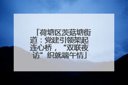 荷塘区茨菇塘街道：党建引领架起连心桥，“双联夜访”织就端午情
