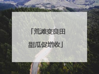 荒滩变良田 甜瓜促增收