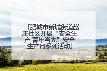 肥城市新城街道赵庄社区开展“安全生产 青年当先”安全生产月系列活动
