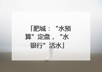 肥城：“水预算”定盘，“水银行”活水