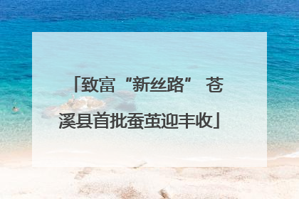 致富“新丝路” 苍溪县首批蚕茧迎丰收