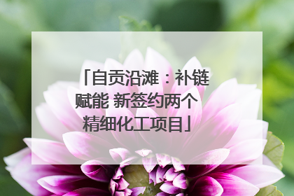 自贡沿滩：补链赋能 新签约两个精细化工项目
