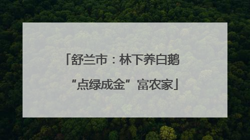 舒兰市：林下养白鹅 “点绿成金”富农家