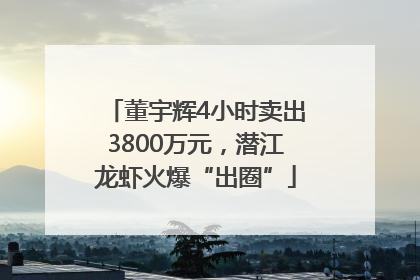 董宇辉4小时卖出3800万元，潜江龙虾火爆“出圈”