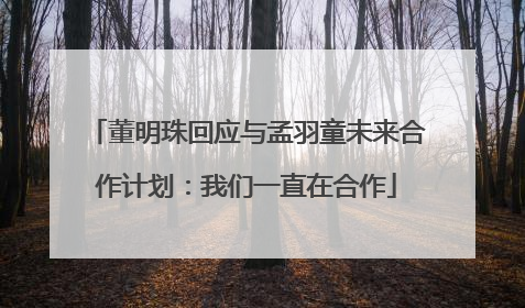 董明珠回应与孟羽童未来合作计划：我们一直在合作