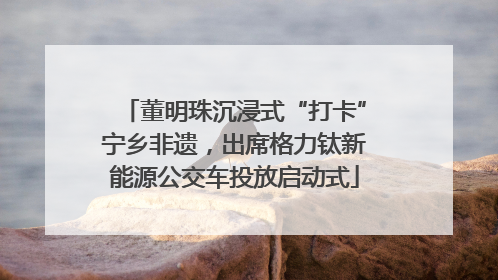董明珠沉浸式“打卡”宁乡非遗，出席格力钛新能源公交车投放启动式
