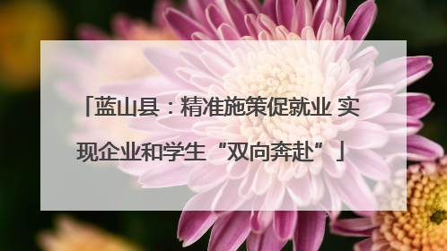 蓝山县：精准施策促就业 实现企业和学生“双向奔赴”