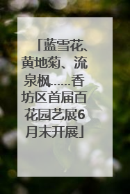 蓝雪花、黄地菊、流泉枫……香坊区首届百花园艺展6月末开展
