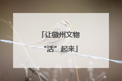让徽州文物“活”起来