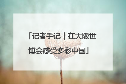 记者手记｜在大阪世博会感受多彩中国
