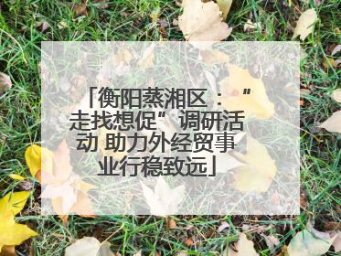 衡阳蒸湘区：“走找想促”调研活动 助力外经贸事业行稳致远